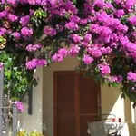 アパート Im Erdgeschoss Mit Panorama-blick By Interhome *